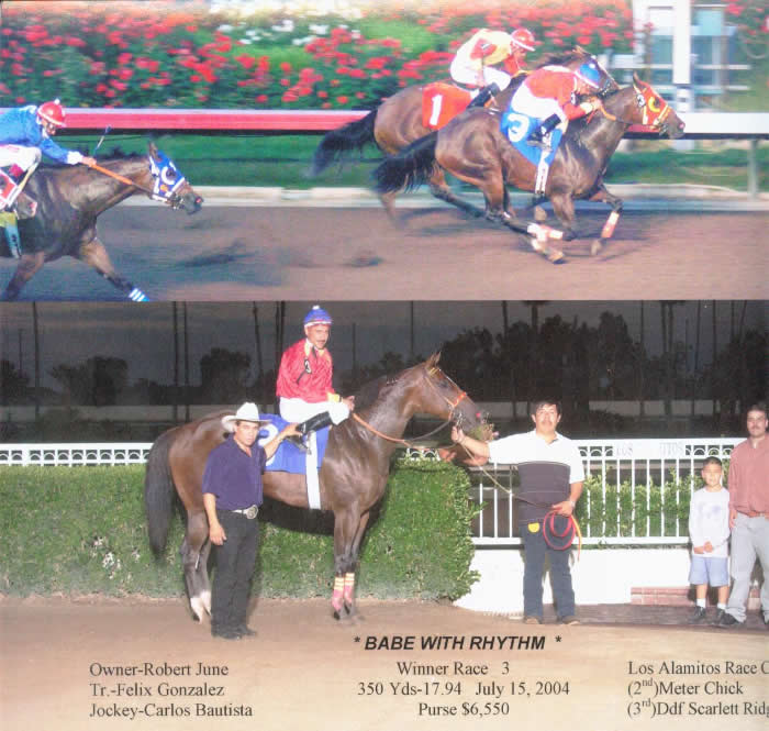 Custom Equine Design